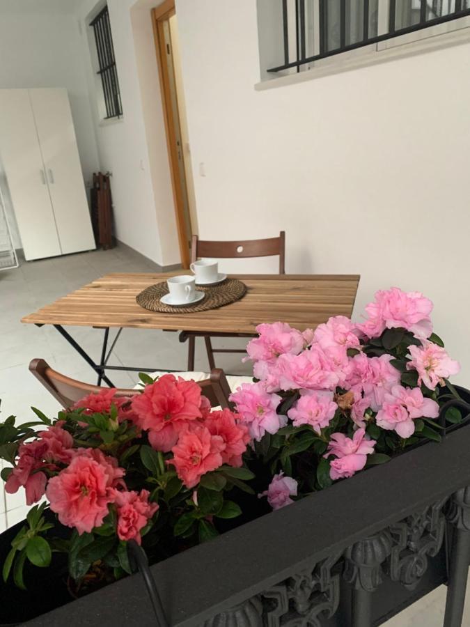 Apartamento Casa Vigon Sanlúcar de Barrameda Exterior foto